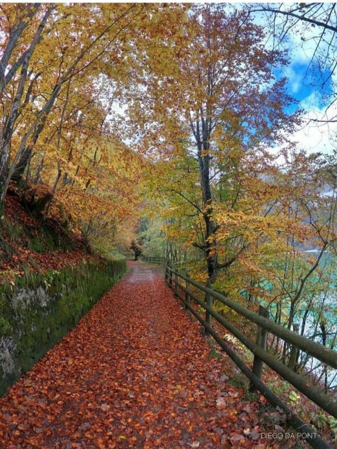 Colori Nel Parco Leilighet Cesiomaggiore Eksteriør bilde